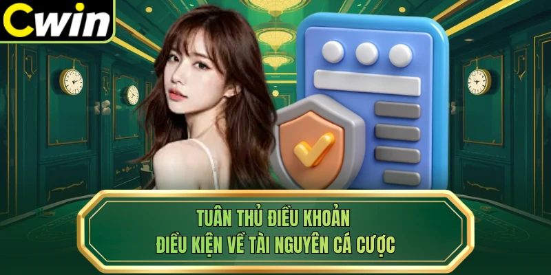 Tuân thủ điều khoản điều kiện về tài nguyên cá cược